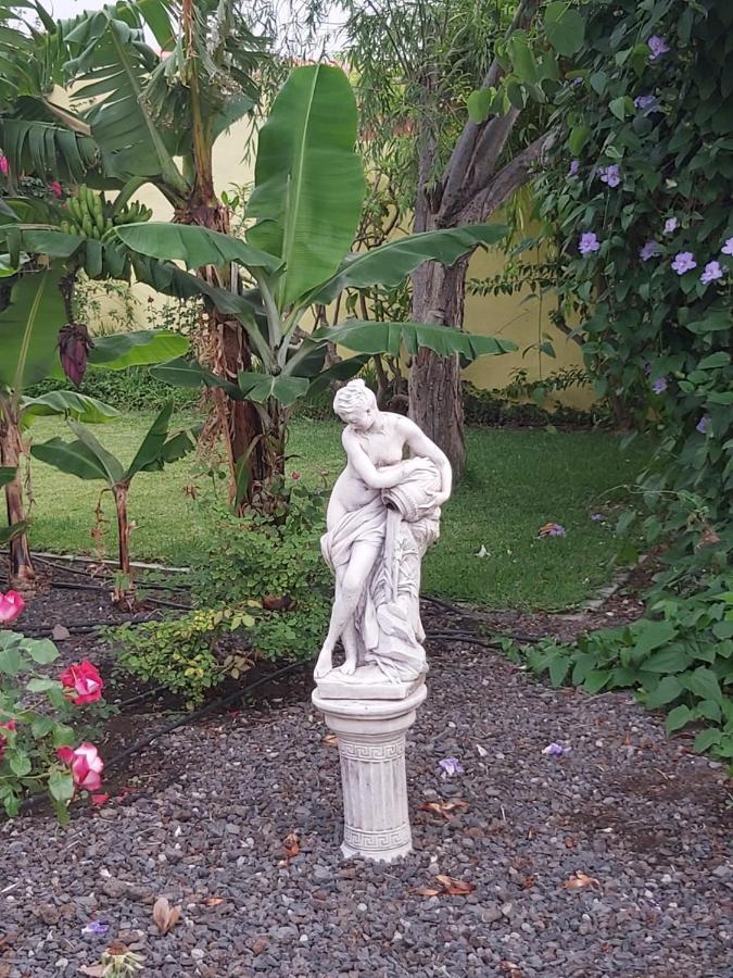 Вилла Mi Jardin Фронтера Экстерьер фото