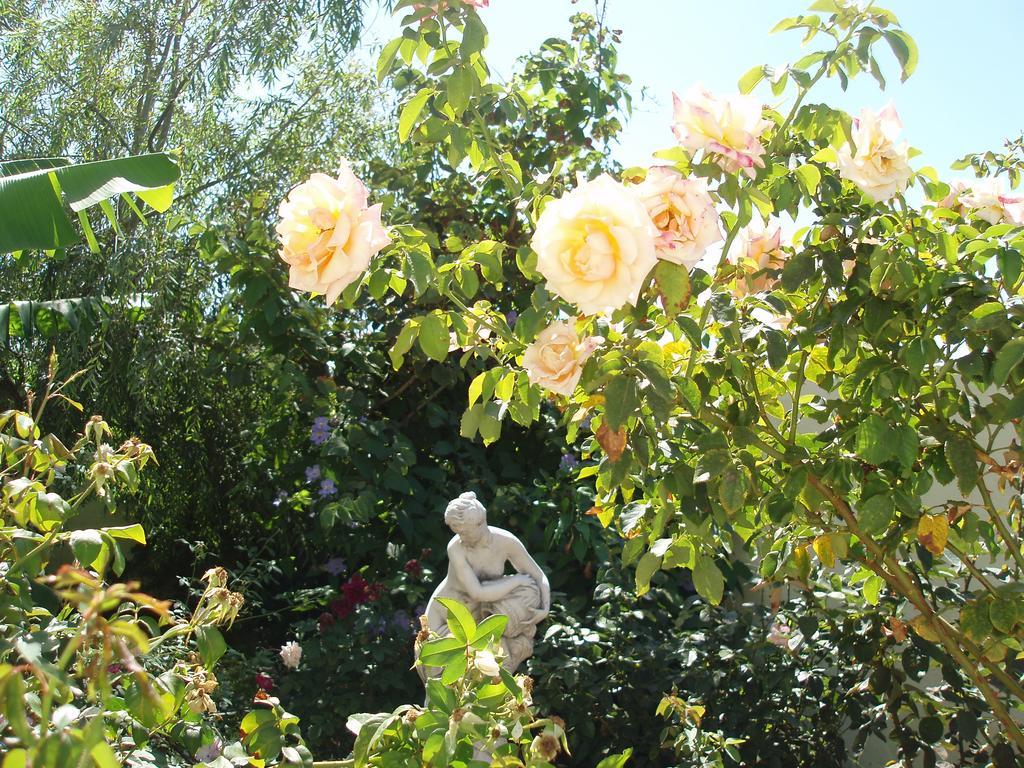 Вилла Mi Jardin Фронтера Экстерьер фото